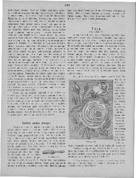 tab1